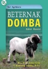 Beternak Domba